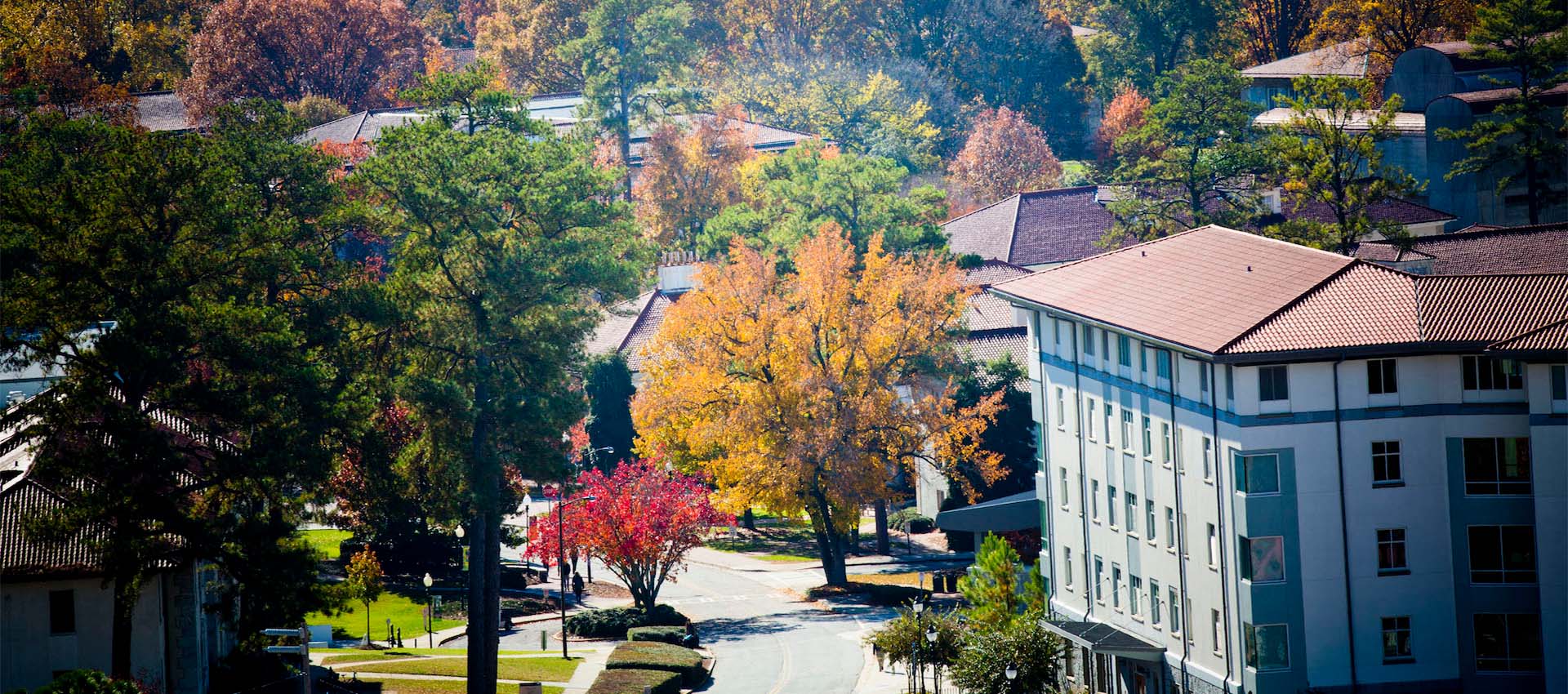 Aerial view of a campus road, buildings, and trees with autumn leaves